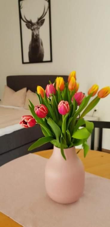Kozma Apartments Peterlewand Gerlitzen Ossiachersee Bodensdorf Kültér fotó