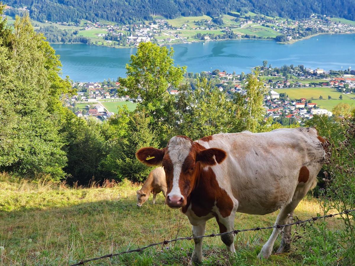 Kozma Apartments Peterlewand Gerlitzen Ossiachersee Bodensdorf Kültér fotó